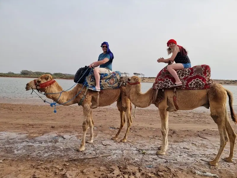 Camel Ride + Dinner