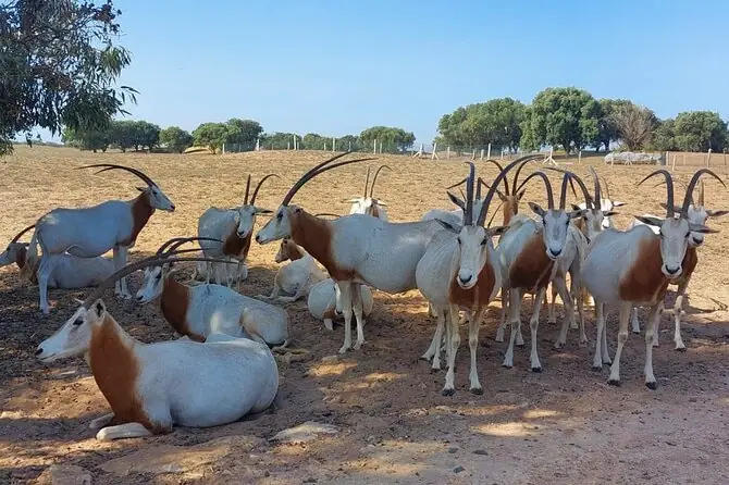 Sous Massa National Park