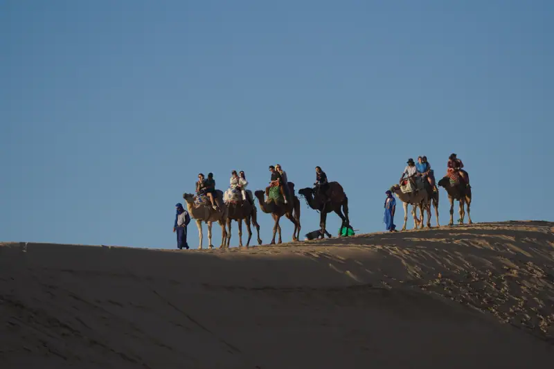 Surf, rooftop and daily life at Waves Hunter Surf House, Anza, Agadir