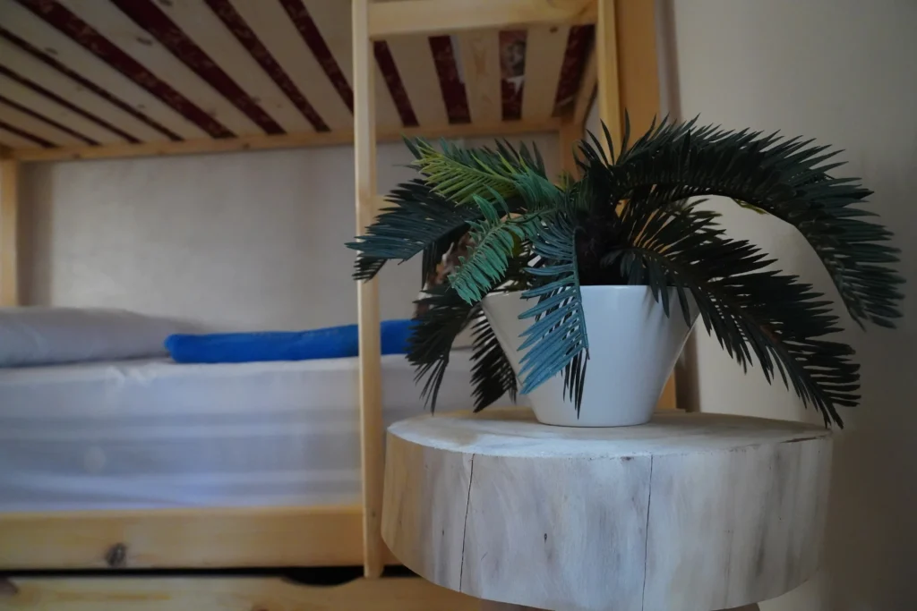 WAVES HUNTER SURF HOUSE - PICS DSC00839