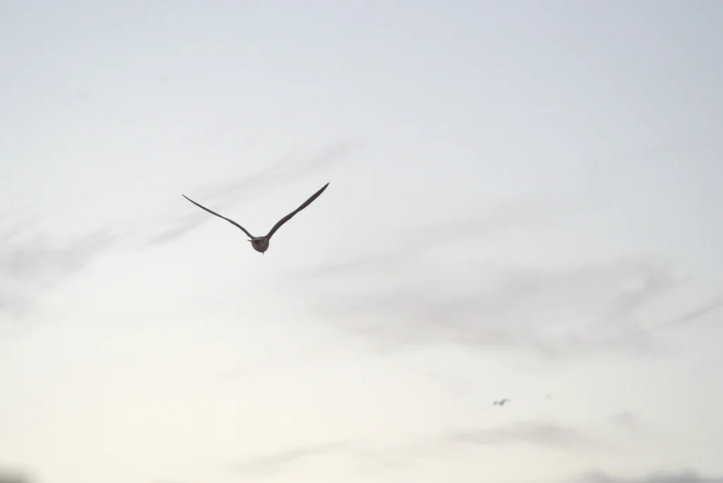 WAVES HUNTER SURF HOUSE - PICS DSC05914