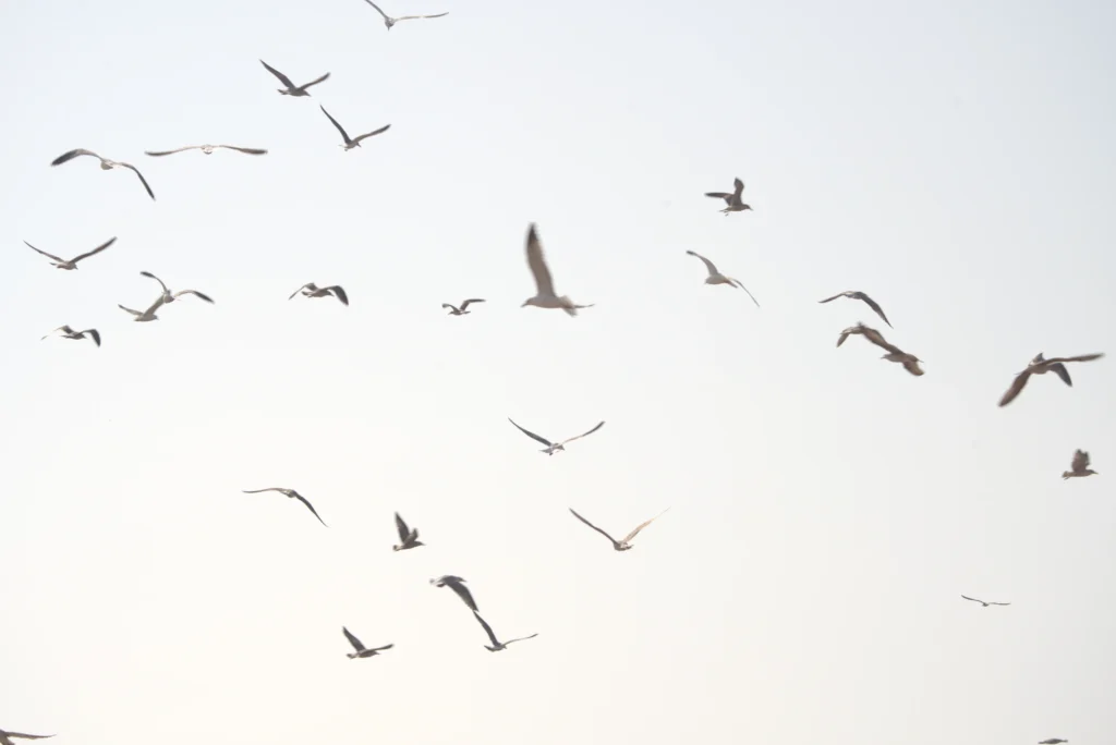 WAVES HUNTER SURF HOUSE - PICS DSC09800