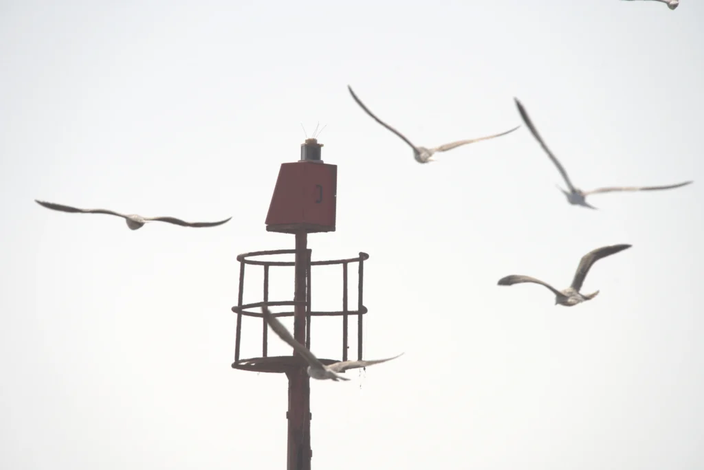 WAVES HUNTER SURF HOUSE - PICS DSC09814