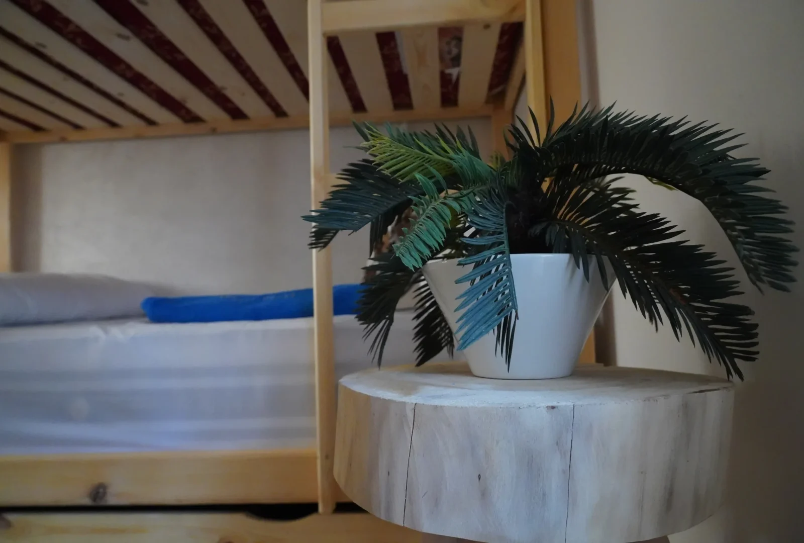 Shared dormitory in Agadir